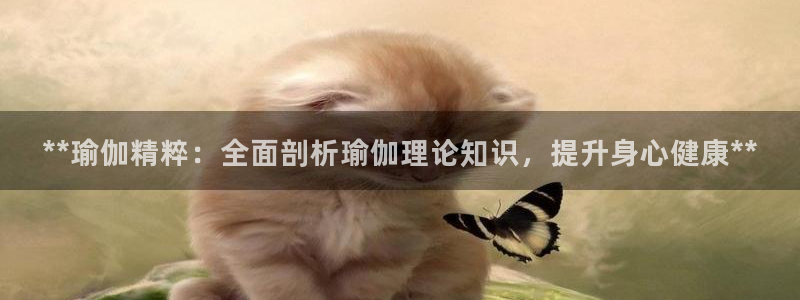 欧洲杯下单平台官网网址