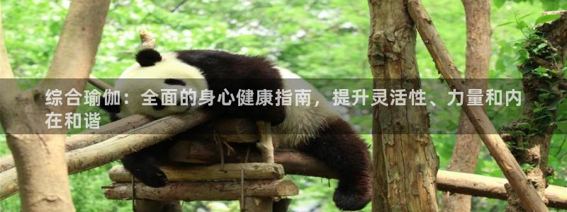 欧洲杯押注入口