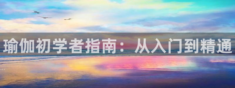 欧洲杯下单平台官网网址