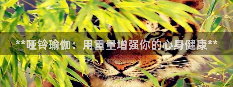 欧洲杯下单网址