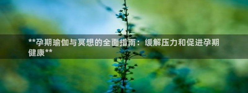 欧洲杯2024下单