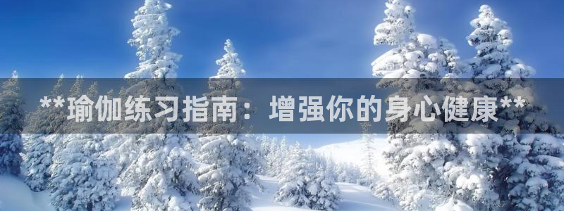 欧洲杯下单网址