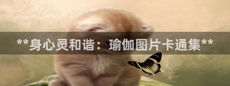 welcome欧洲杯官网