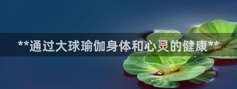 欧洲杯押注入口