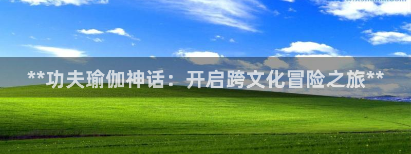 网上哪个平台可以买足球