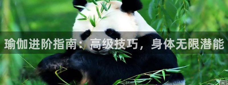 2024欧洲杯买球推荐