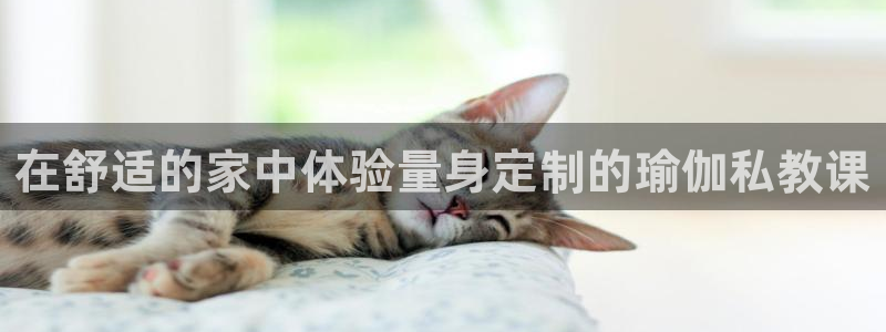 欧洲杯线上买球