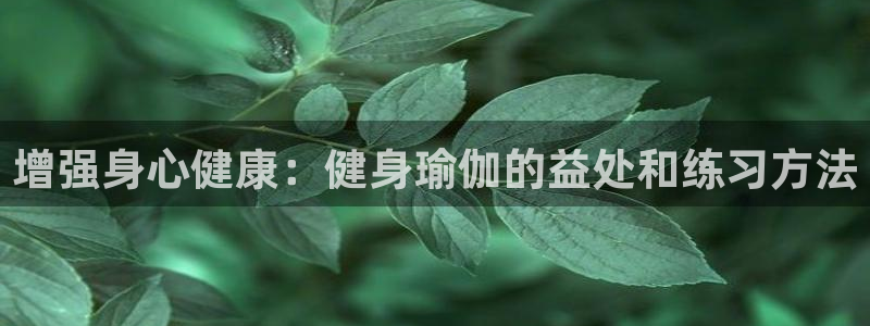 2024欧洲杯买球推荐