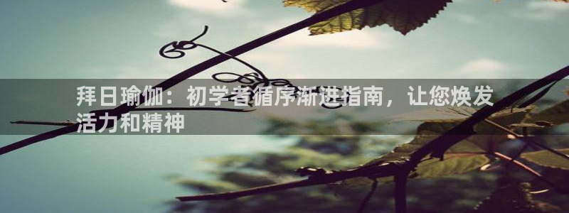 欧洲杯买球手机app