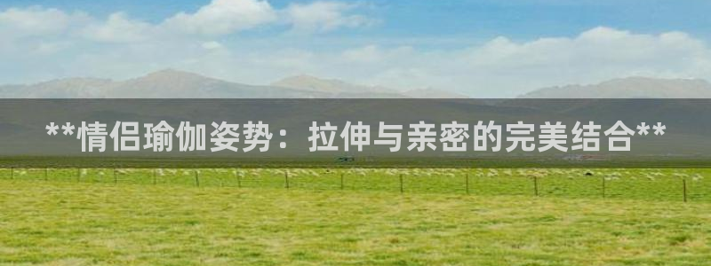 怎么买欧洲杯