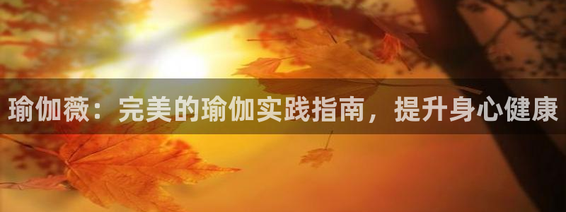 2024年欧洲杯投注