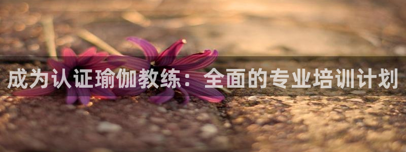 欧洲杯2024下单