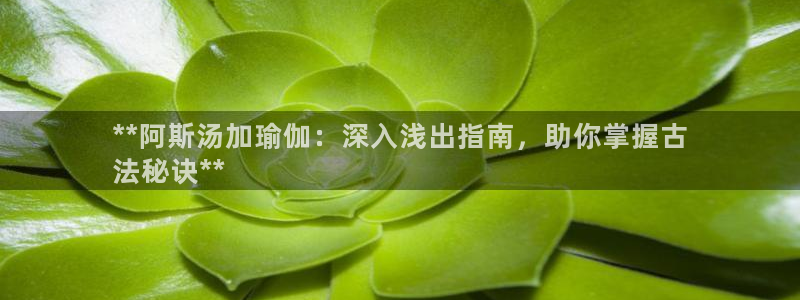 怎么买欧洲杯