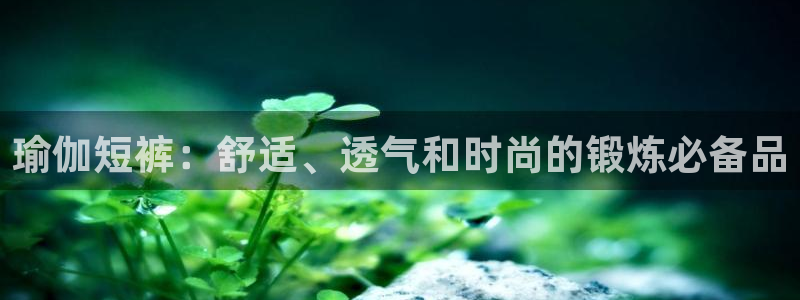 欧洲杯决赛彩票网上购买