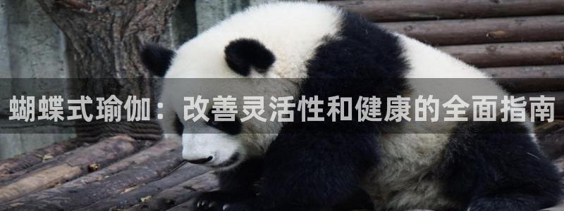 欧洲杯在哪个网站购买