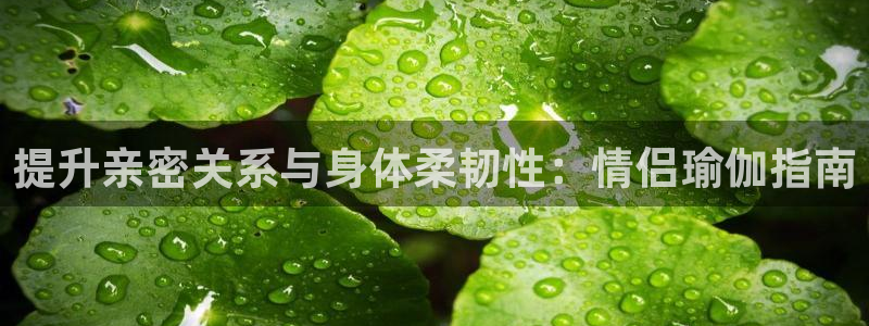 欧洲杯买足球软件