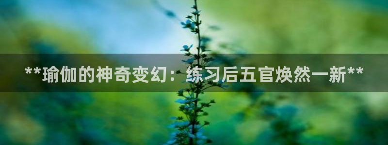 2024欧洲杯买球手机版