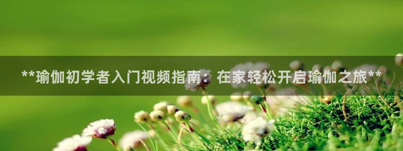 网上哪个平台可以买足球