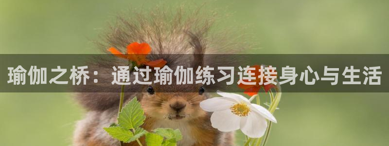 欧洲杯最新赛程