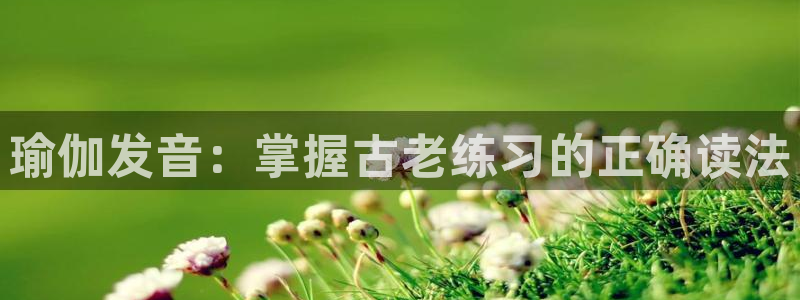 欧洲杯买足球软件