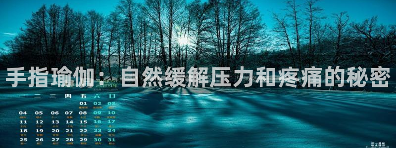 2024欧洲杯买竞猜