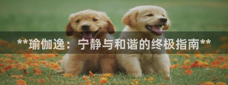 欧洲杯指定投注网站