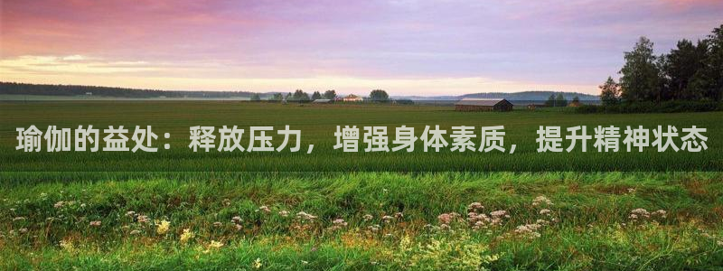 欧洲杯下单平台官网网址