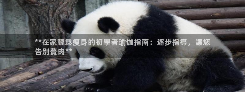 欧洲杯下单平台官网