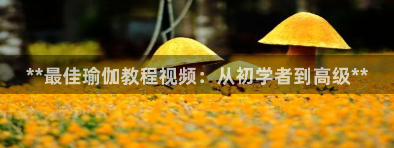 放心购买足球平台