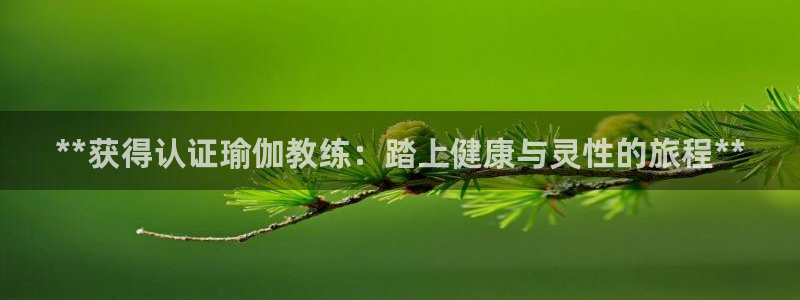 欧洲杯线上买球