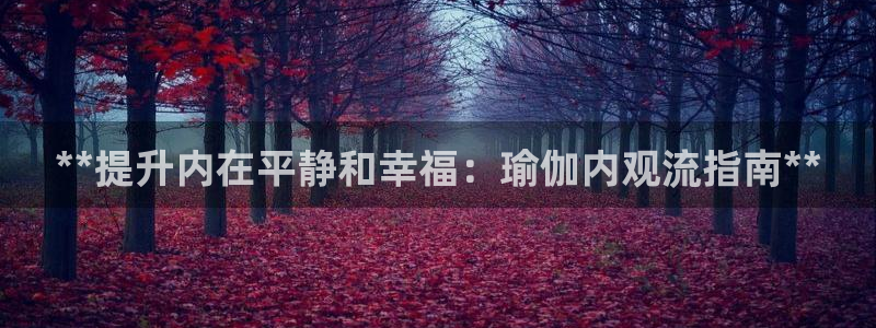 2024欧洲杯买球推荐