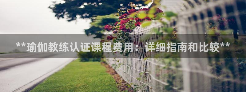 2024年欧洲杯投注