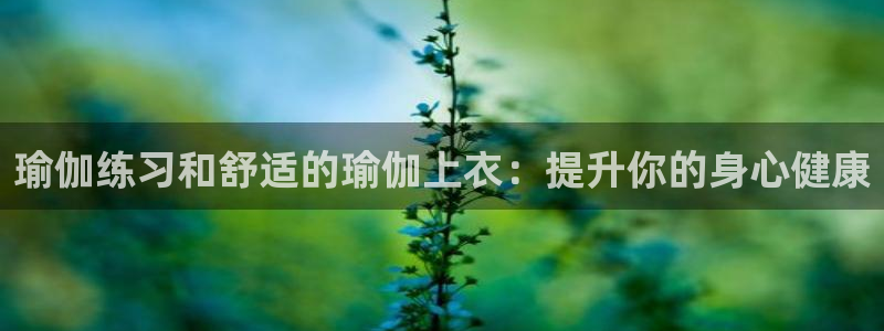 买球平台官方网站