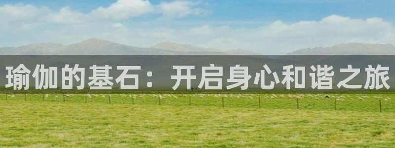 2024正规欧洲杯平台