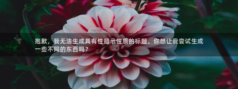 欧洲杯下单网址