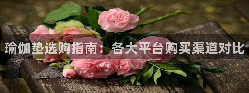 欧洲杯买球怎么买