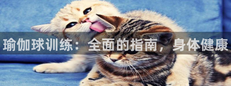 欧洲杯投注推荐网站