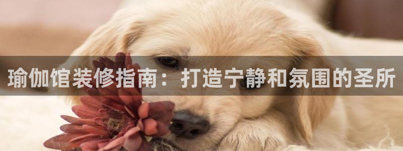 2024欧洲杯竞猜网址