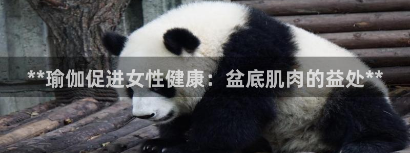 welcome欧洲杯开户