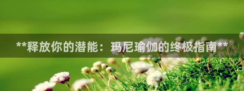 欧洲杯买足球软件