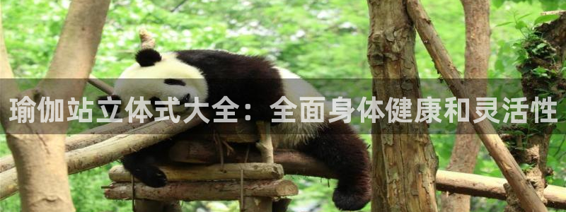 2024欧洲杯押注官网