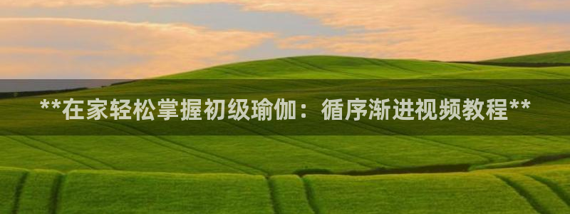 欧洲杯买球怎么买