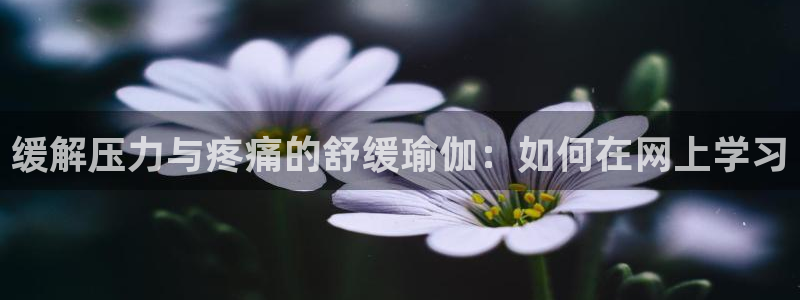 欧洲杯最新赛程