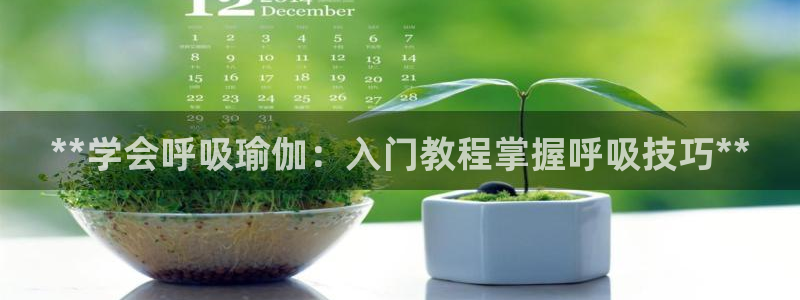 欧洲杯押注怎么买