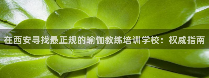 买足球平台哪个比较好