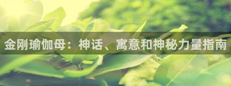 欧洲杯下单平台官网网址