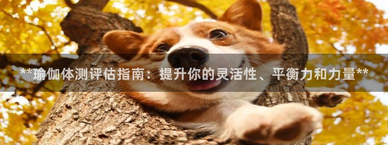 欧洲杯押注怎么买