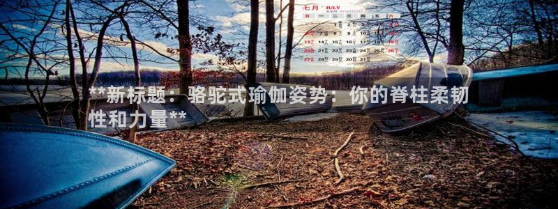 买球平台官方网站