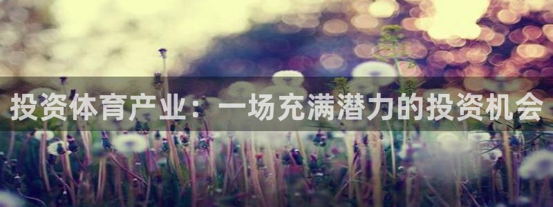 三亿体育