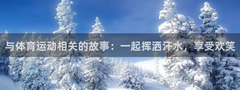三亿体育网页版
